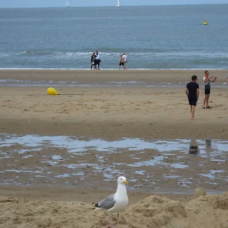 Monarc 4* Ostende